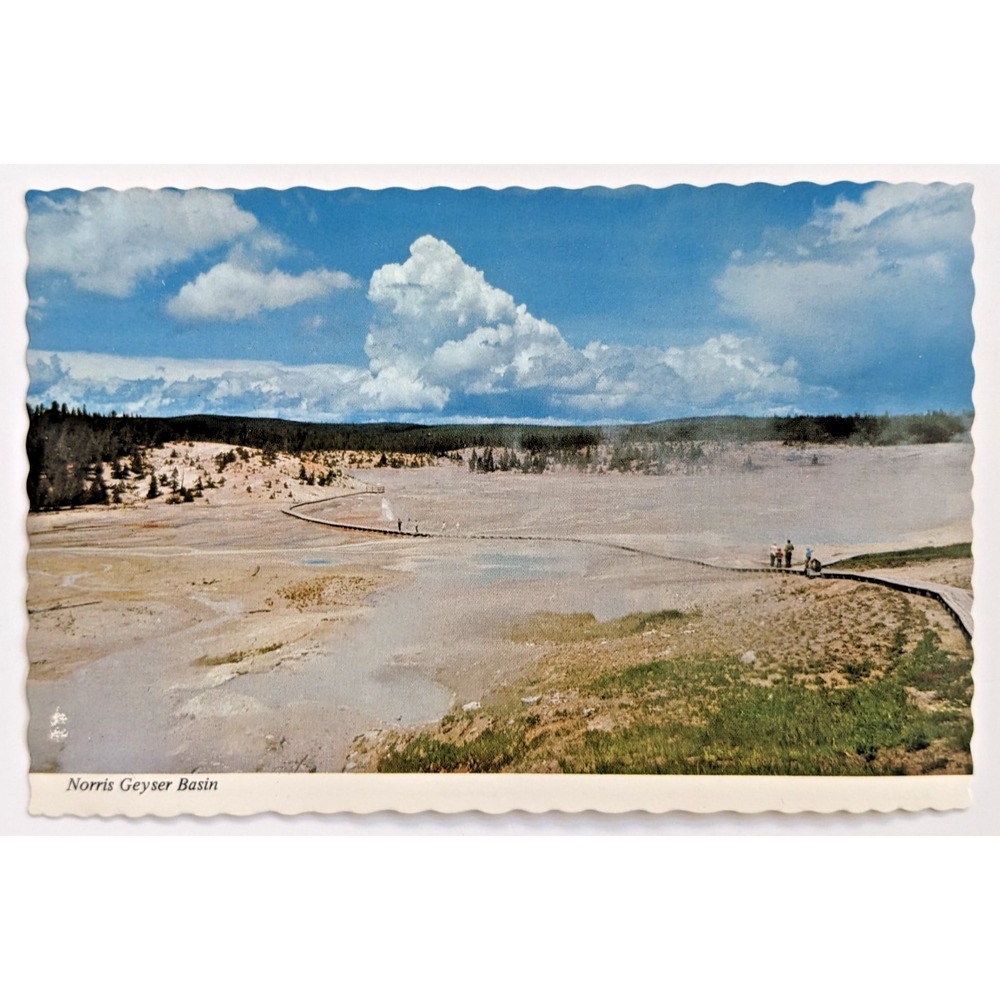 Yellowstone National‎ Park, WY Norris Geyser Basin Boardwalk & Tourists Postcard